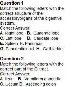 Quiz – Digestive System